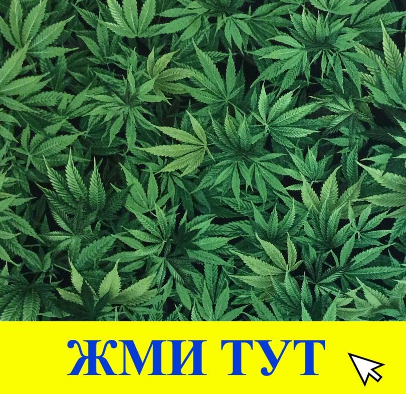 Купить наркотики в Горно-Алтайске